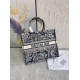 Dior Medium Book Tote Handbag M1296ZRGO_M35I