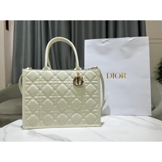 Dior Medium Book Tote Handbag M1324OWHP_M030