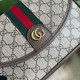 Gucci Ophidia GG Small Shoulder Bag 722117FAAX39789