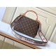 LV Cluny Mini Handbag M46055