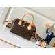 LV Speedy Bandoulière 20 Handbag M46234