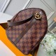 LV Speedy 35 Handbag N41366